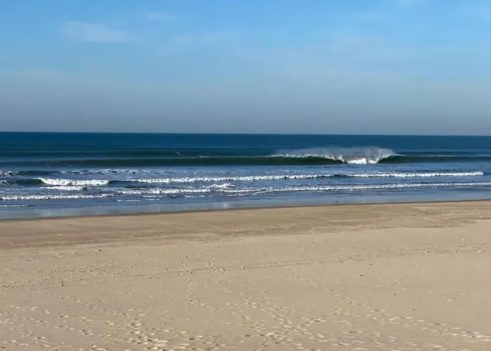 Cozy House Charneca (Setubal)